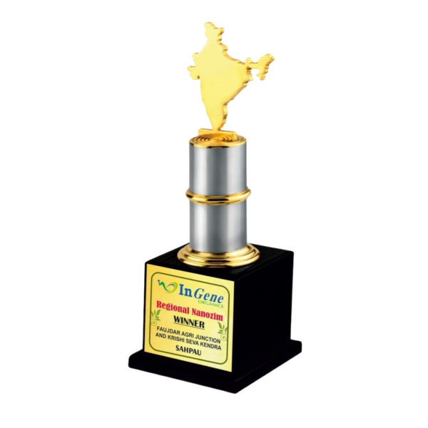India Winner Trophy