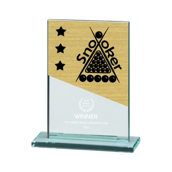 Snooker Trophy