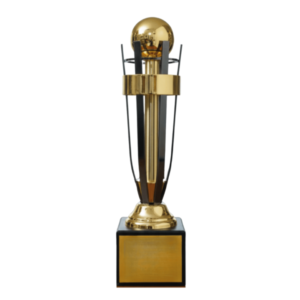 Cricket Winner Cup