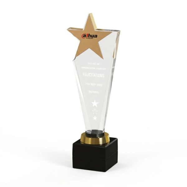 The Star CEO Award