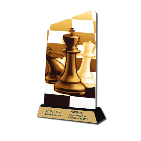 Chess Trophy