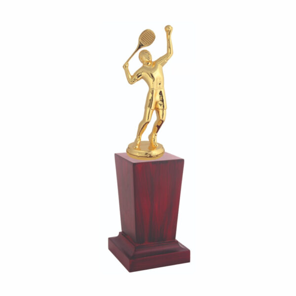 Tennis Player Award