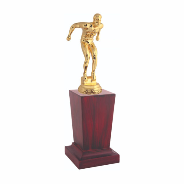 Swimming Champion