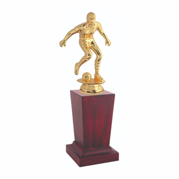 Football Player Award