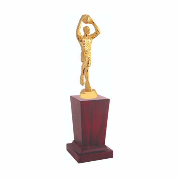Basketball Player Award