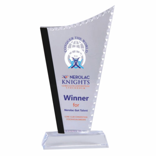 Award - Nerolac Knights