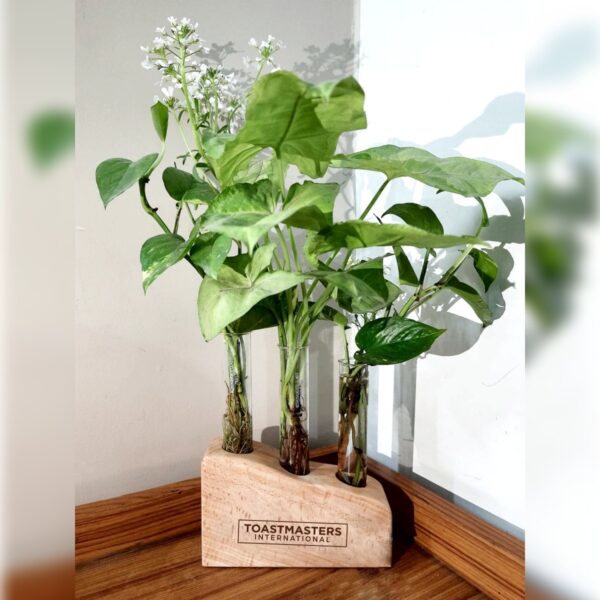 Trio Tube Planter