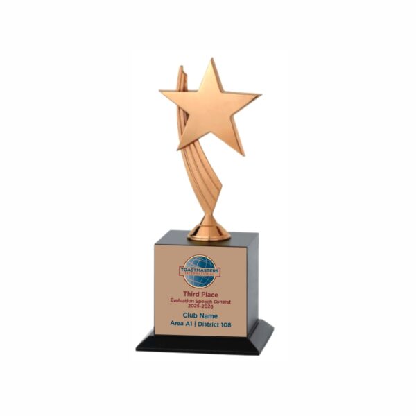 Raised Star Bronze