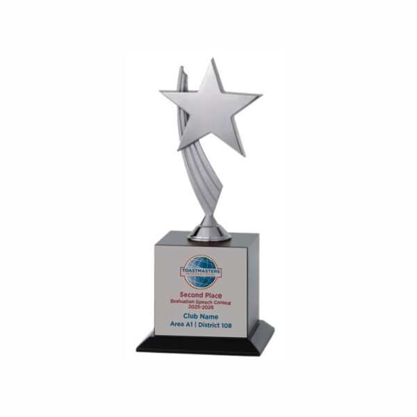 Raised Star Silver