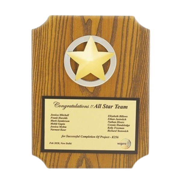 Metal Star Plaque