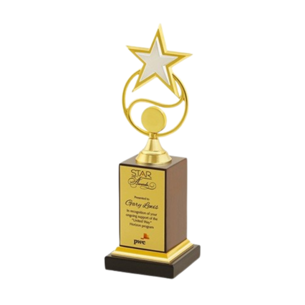 Sophisticated Gold Star