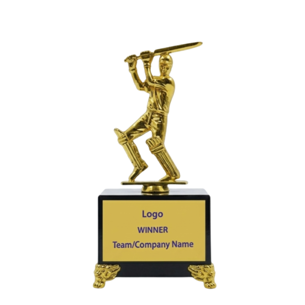 Cricket Trophy - Best Batsman