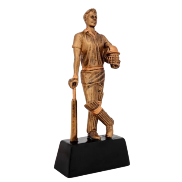 Cricket Player of the Series