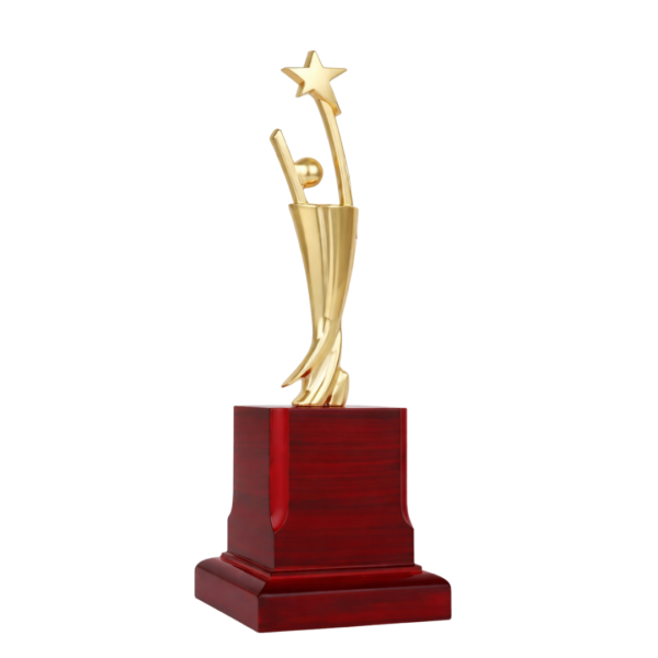 Star Achiever Award