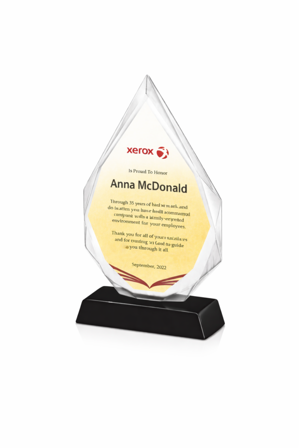 Top Performer's Glass Award